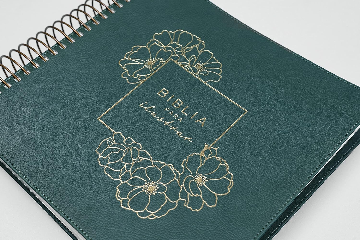 RVR 1960 Biblia para Ilustrar, Verde Símil Piel