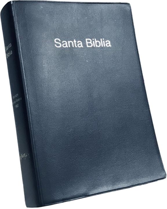 Biblia Rvr60 Manual Letra Grande Vinil Negro Sin Indice